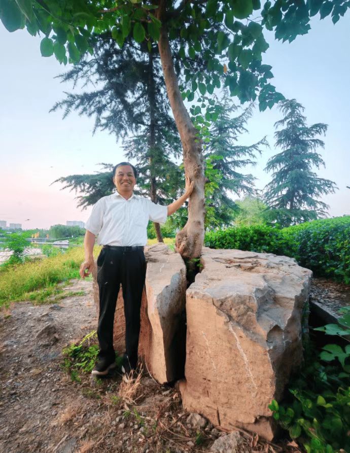 王海明菏泽赵王河畔砺志树：礼赞石缝间的生命力量